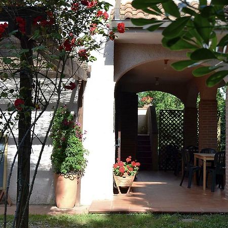 Agriturismo Piana Arborello Hotel Magliano in Toscana Eksteriør billede