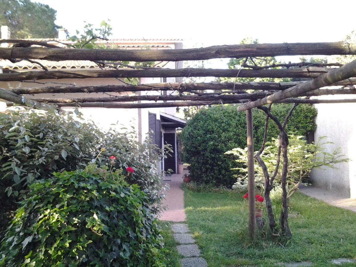 Agriturismo Piana Arborello Hotel Magliano in Toscana Eksteriør billede