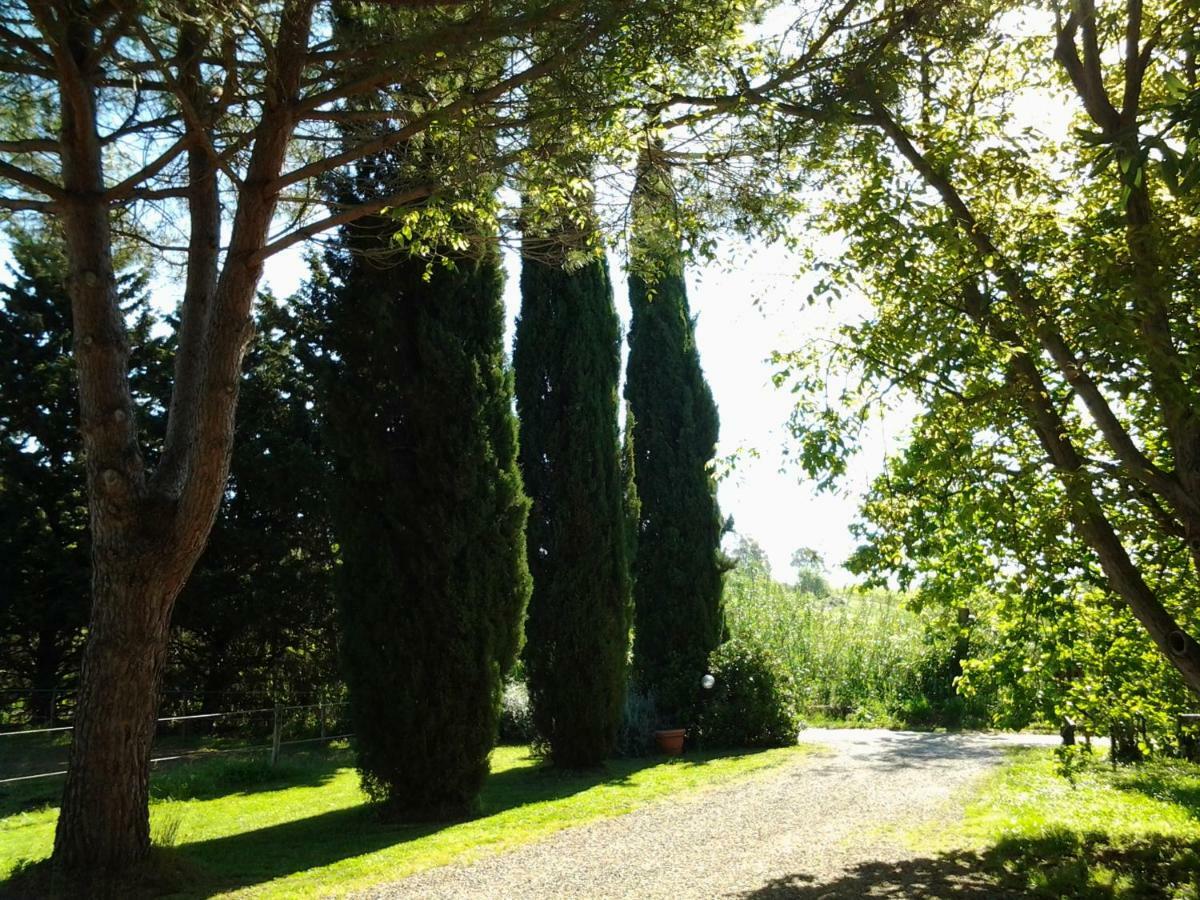 Agriturismo Piana Arborello Hotel Magliano in Toscana Eksteriør billede