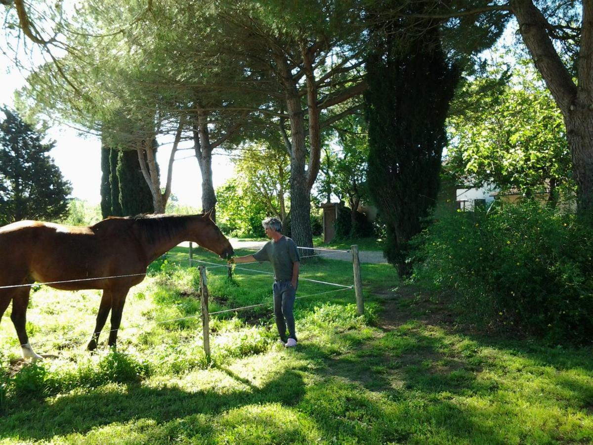 Agriturismo Piana Arborello Hotel Magliano in Toscana Eksteriør billede