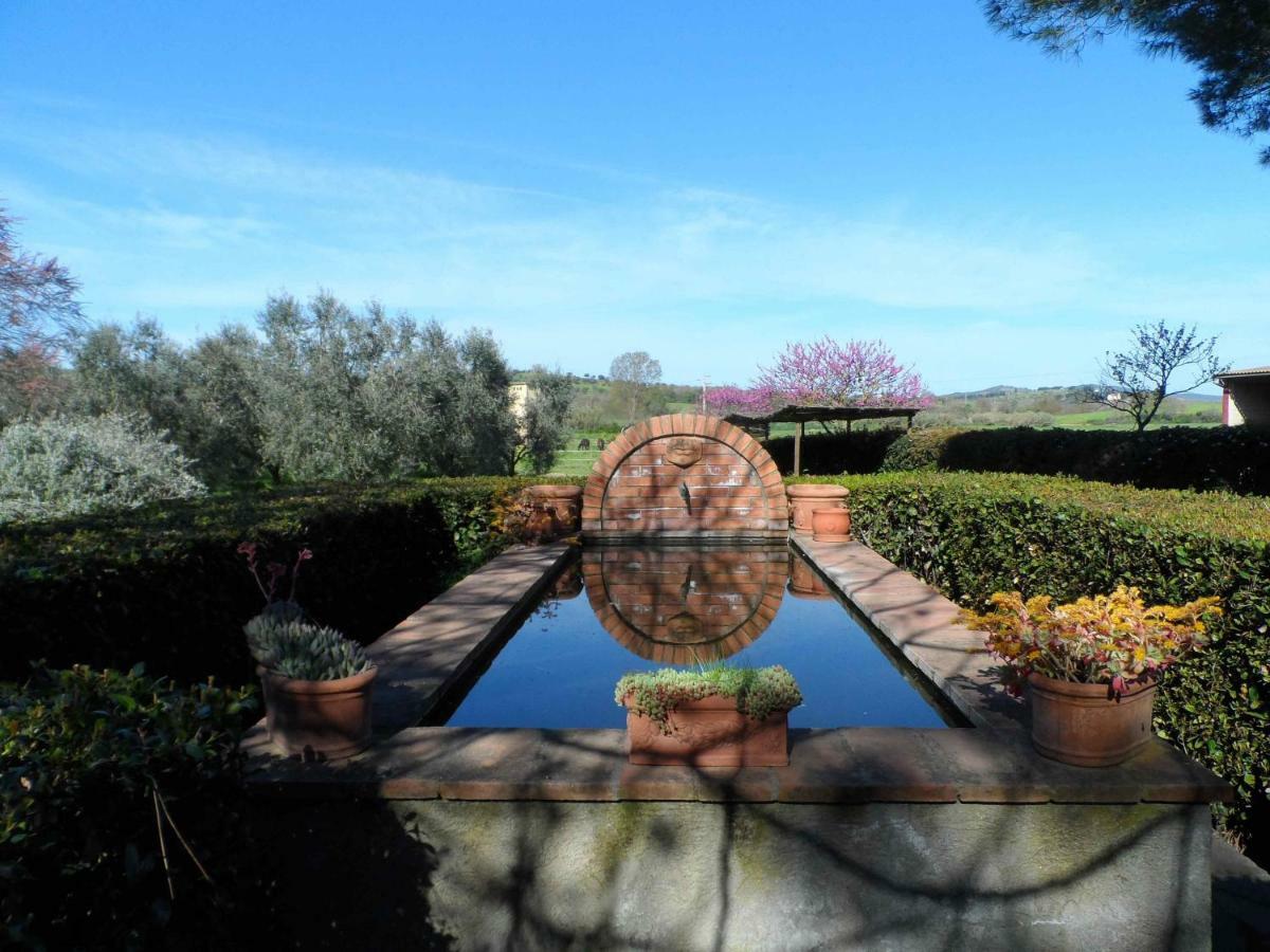 Agriturismo Piana Arborello Hotel Magliano in Toscana Eksteriør billede
