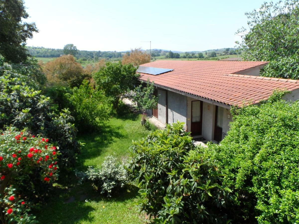 Agriturismo Piana Arborello Hotel Magliano in Toscana Eksteriør billede
