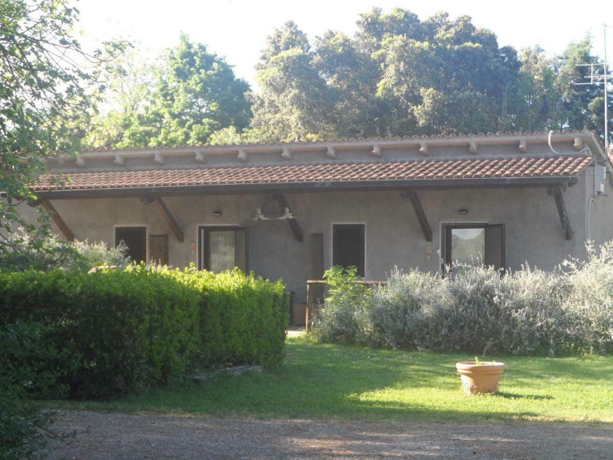 Agriturismo Piana Arborello Hotel Magliano in Toscana Eksteriør billede
