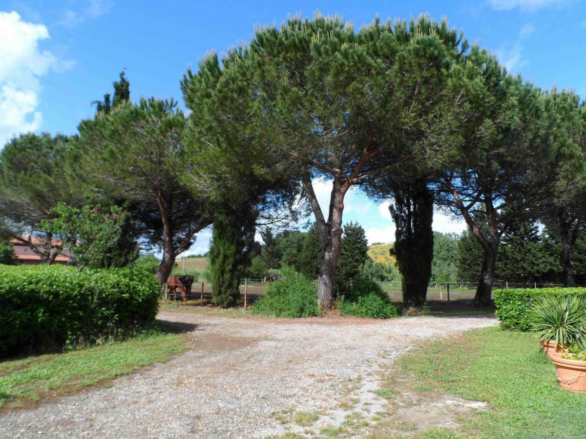 Agriturismo Piana Arborello Hotel Magliano in Toscana Eksteriør billede