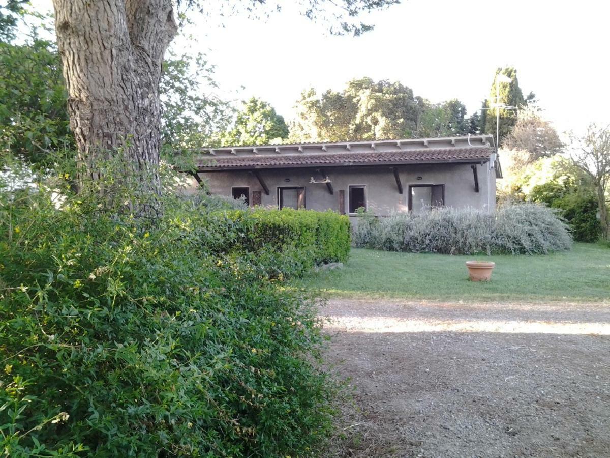 Agriturismo Piana Arborello Hotel Magliano in Toscana Eksteriør billede