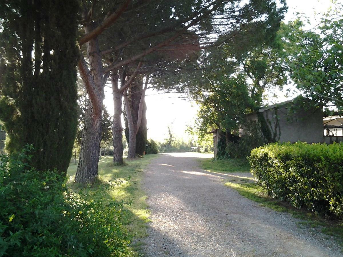Agriturismo Piana Arborello Hotel Magliano in Toscana Eksteriør billede