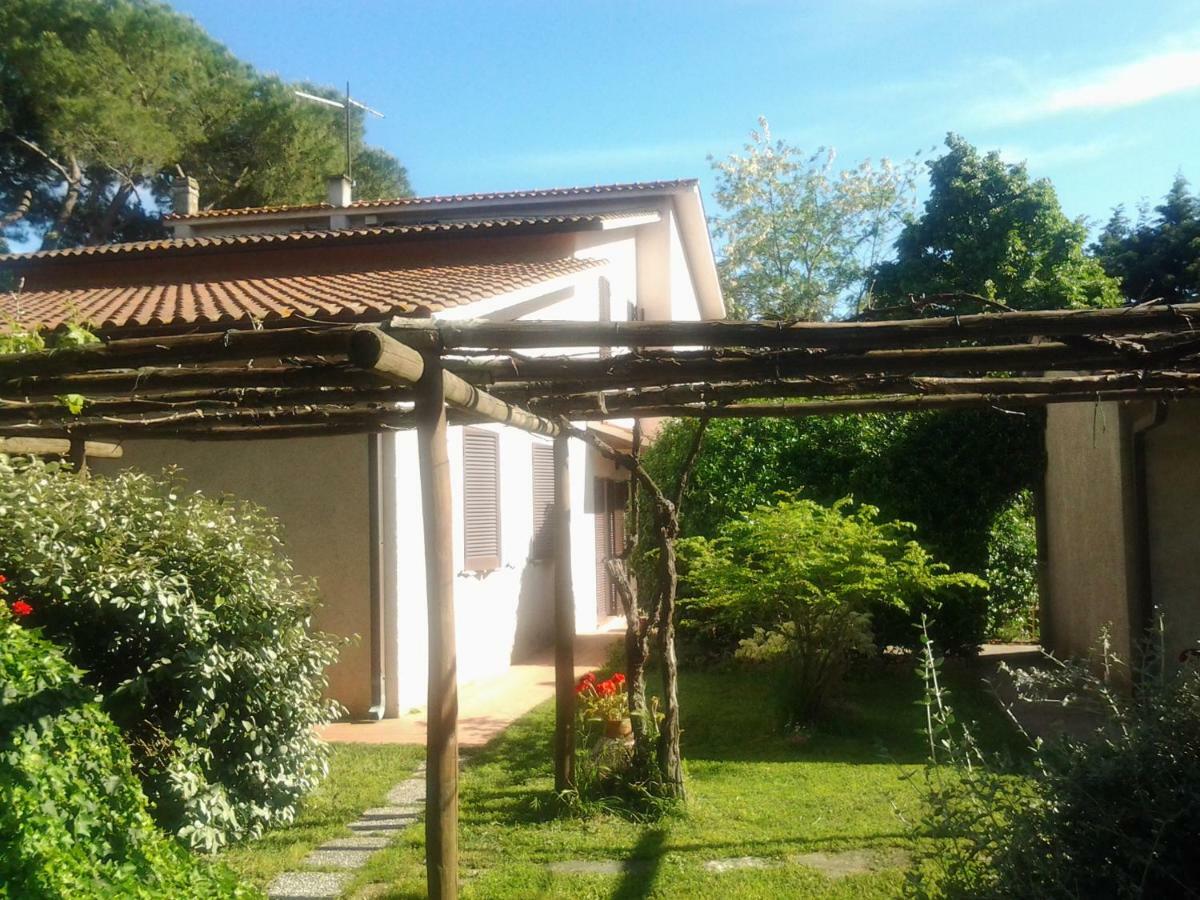 Agriturismo Piana Arborello Hotel Magliano in Toscana Eksteriør billede